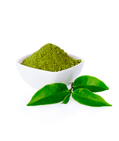 LAV- Green Tea Extract