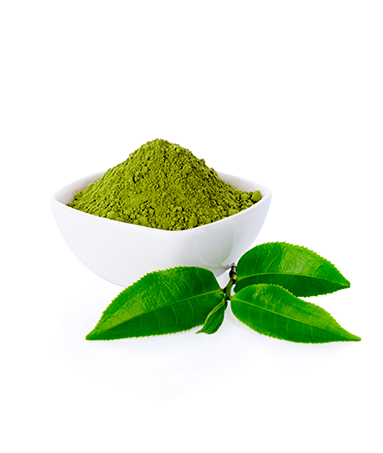 LAV- Green Tea Extract LAV- Green Tea Extract