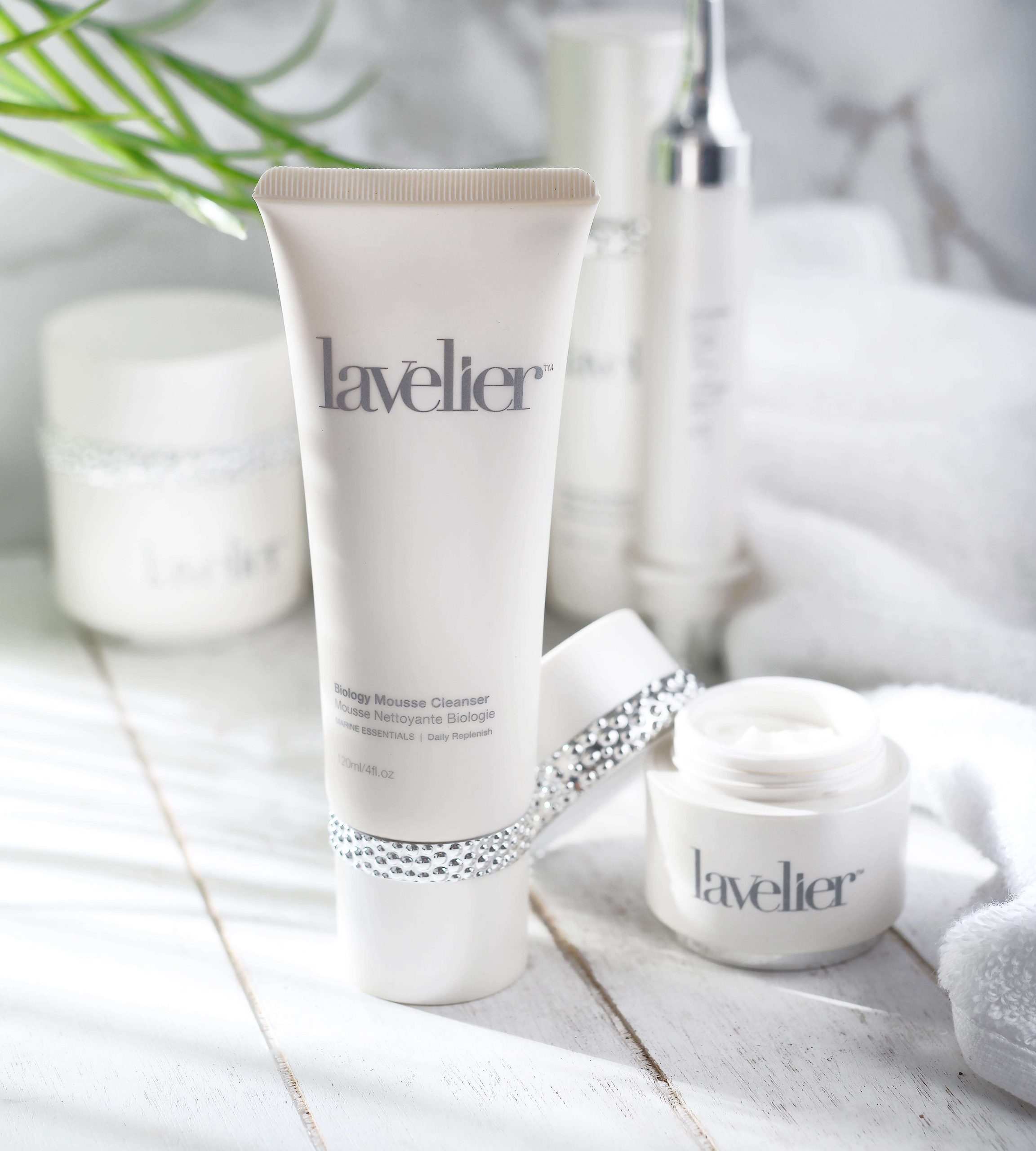 Lavelier Reviews: Biology Mousse Cleanser