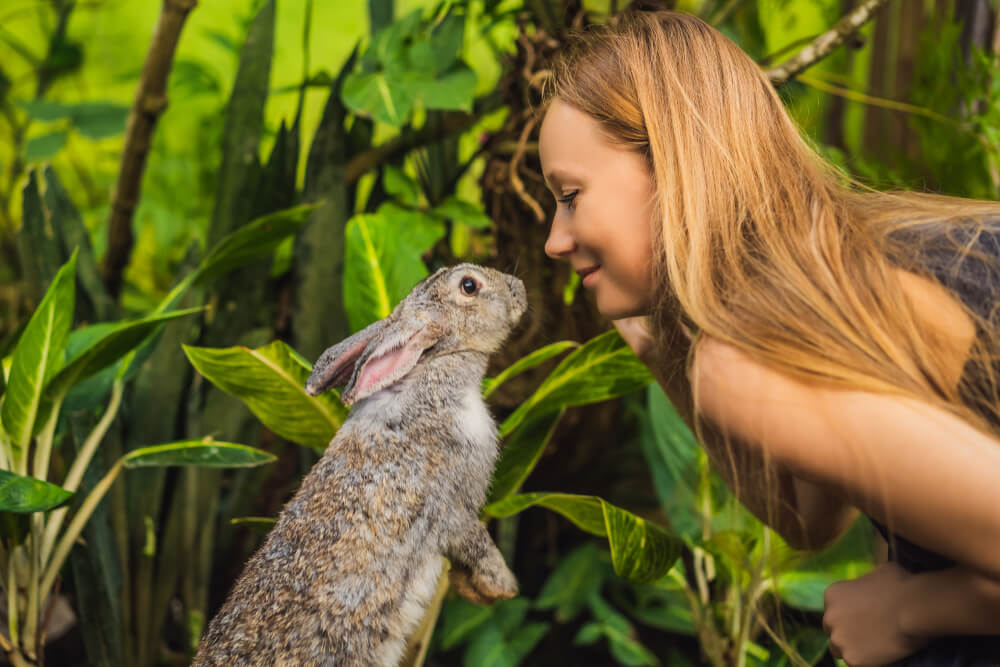 girl and rabbit